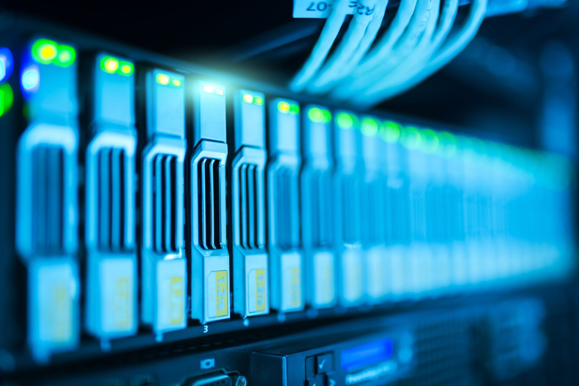 Read more about the article Managed Hosting or In-House Hosting? Web Hosting Guide
